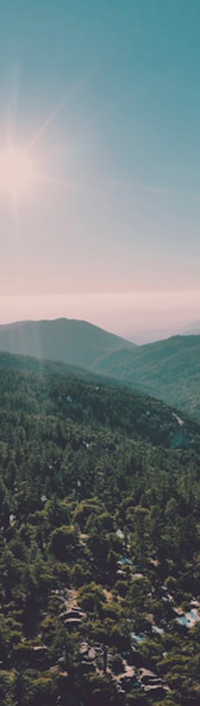 Idyllwild background