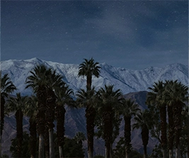 Palm Desert