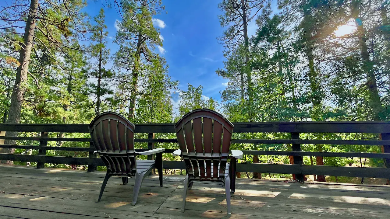 In the Pines