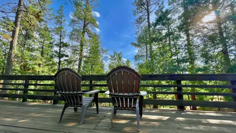 In the Pines