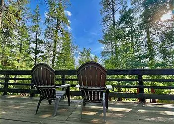In the Pines