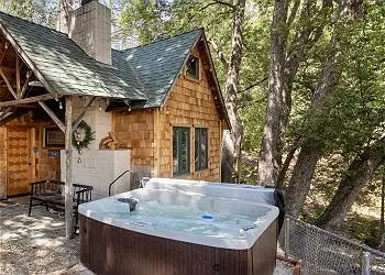 Tree Haus