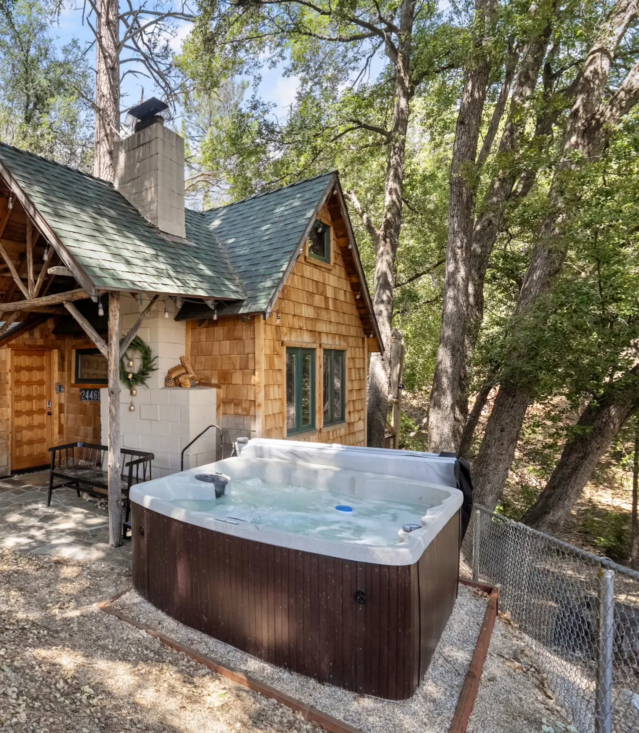 Tree Haus
