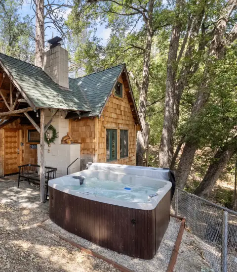 Tree Haus